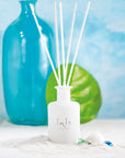 INIS - Diffuser