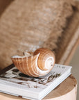 Large Tonna Shell Soy Candle by Très Noosa